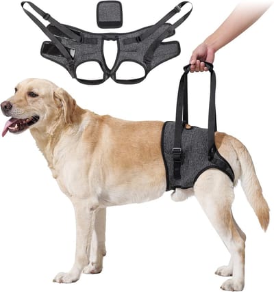 Hondenrugzak - voor grote honden Harnas ter ondersteuning van de achterpoten - Ideaal voor oudere honden met artritis - Biedt revalidatiehulp voor zwakke achterpoten - S