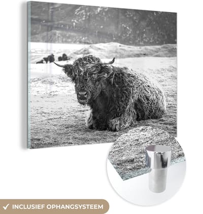 MuchoWow® Glasschilderij 160x120 cm - Schilderij acrylglas - Schotse Hooglander - Berg - Dieren - Foto op glas - Schilderijen