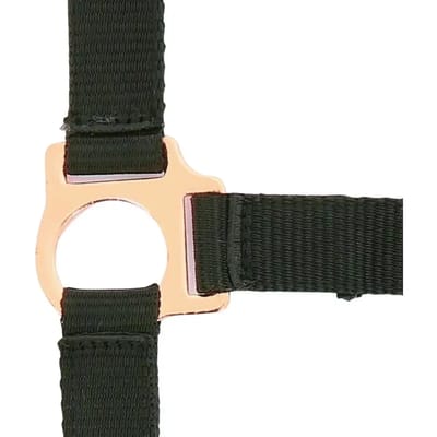 Halster voor paarden Norton Rose gold