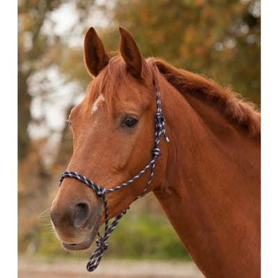 Geknoopt Halster - Bijna Uitverkocht! | Pony