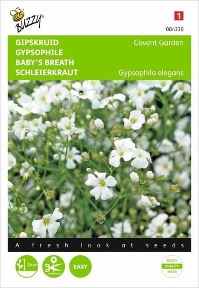 Gipskruid Convent Garden - Gypsophila elegans