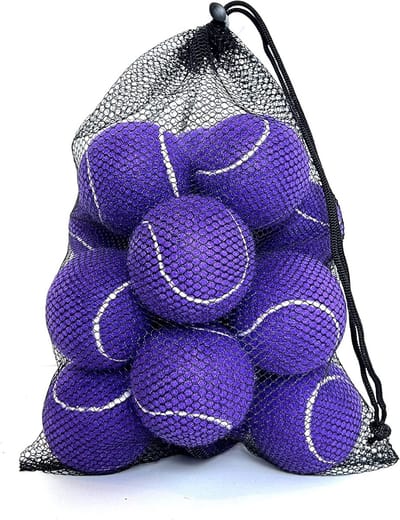 Set van 12 Trainings Tennisballen met Draagtas voor Beginners en Hondenspeelgoed
