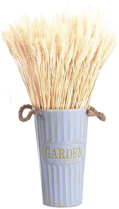 100pcs Gedroogde Tarwe Tips - Gedroogde Tarwe Spruiten - Natuurlijke Decoratie voor Boeketten - Thuis of Feestversieringen - 40cm (Primaire Kleur)