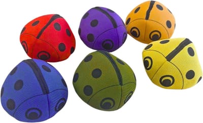 Pittenzak Set Lieveheersbeestje 6 Stuks - 6 Kleuren