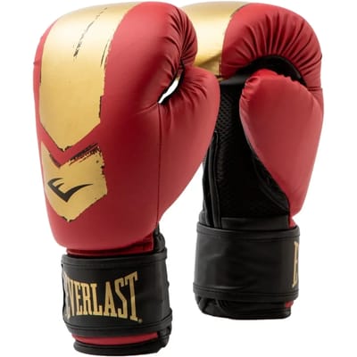 Bokshandschoenen Everlast Prospect 2