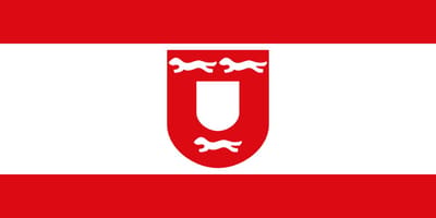 Vlag Wezel 100x150cm