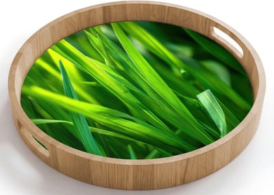 Dienblad rond 40x40 cm - Schootdienblad hout - Grassprieten - Lichtinval - Groen - Borrelplank rechthoek - Plateau houten dienbladen