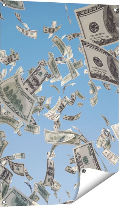 Gards Tuinposter Dollarbiljetten in de Lucht - Geld - 60x90 cm - Tuindoek - Tuindecoratie - Wanddecoratie buiten - Tuinschilderij