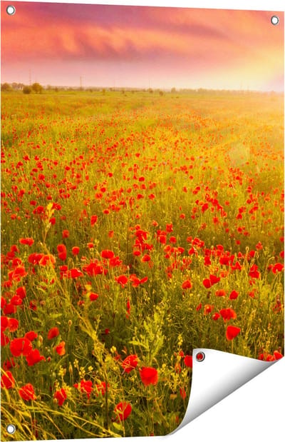 Gards Tuinposter Rode Klaproos Bloemenveld - Zonsondergang - 60x80 cm - Tuindoek - Tuindecoratie - Wanddecoratie buiten - Tuinschilderij