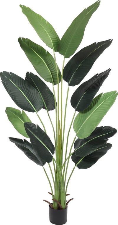 Kunst Strelitzia Caracas | 175cm – Deluxe - Kunstplant grote bladeren – Nep Strelitzia Bananenplant – Tropische Kunstplant – Strelitzia Kunst Kamerplant – Onderhoudsvrij