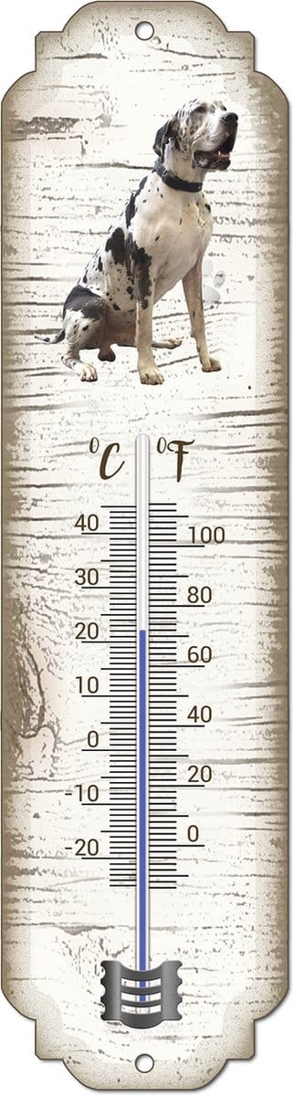 Thermometer: Duitse Dog | Hondenras | Temperatuur binnen en buiten | -25 tot +45C