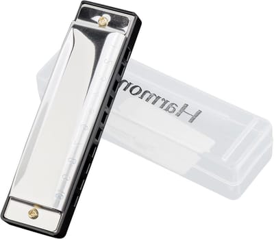 10 Holes Blues Harmonica in C voor Beginners en Kinderen met Hard Case - Geschikt voor Blues, Folk en Jazz Muziek