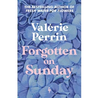 Forgotten On Sunday - Valerie Perrin