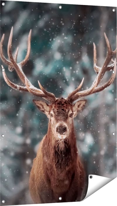 Gards Tuinposter Hertenkop - Hert in de Sneeuw - 80x120 cm - Tuindoek - Tuindecoratie - Wanddecoratie buiten - Tuinschilderij