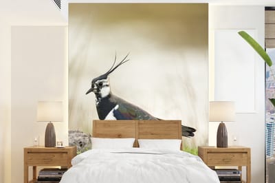 Behang - Fotobehang Vogel - Gras - Dieren - Natuur - Kievit - Breedte 165 cm x hoogte 220 cm