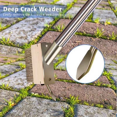 Dailygoods- Onkruidverdelger Handmatig - Onkruid Borstelkoppen - Spleetwieden Tool - Mos Verwijderaar - Hoogwaardig Messing Geplateerd Staal - 64,9 Inch Handvat - Spleetwieder