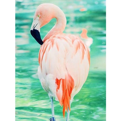 5D Diy Diamant Schilderij Flamingo Kruissteek Volledige Ronde Diamant Borduurwerk Landschap Steentjes 20X30CM blue
