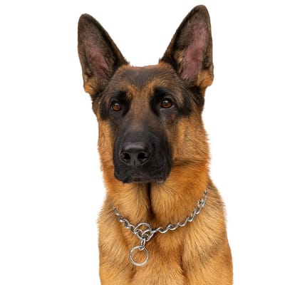 Nobleza Slipketting hond - Maat XL - Lengte 65 cm - Omtrek nek 50 cm - Sliphalsband - Trainingshalsband - Hondenketting