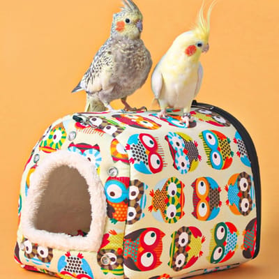 parkieten kweekbox winter warm knuffelhok vogelbed hangmat voor papegaaien parkieten valkparkieten 16 x 20 x 15,5 cm