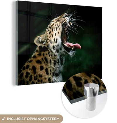 MuchoWow® Glasschilderij 40x30 cm - Schilderij acrylglas - Panter - Zwart - Tanden - Foto op glas - Schilderijen