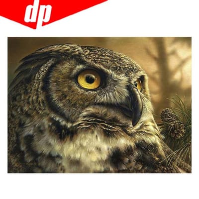 Dierlijke uil diamant borduurwerk 5D DIY diamant schilderij kruissteek foto volledige ronde diamant 20X30 beige