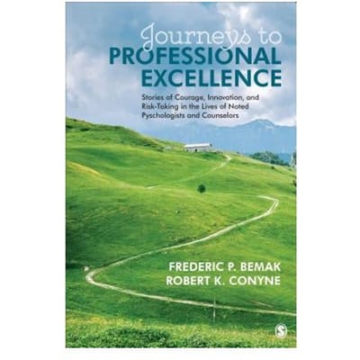 Journeys To Professional Excellence: Stories Of Courage, Innovation, And Risk-Taking In The Lives - Bemak