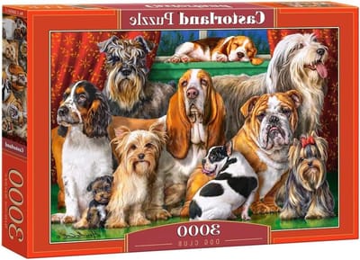 Legpuzzel 3000 stukjes - Hobby Puzzel - Ontspanning Thuis - Uitstekende Afdrukkwaliteit - 920 x 680 mm - Meerkleurig