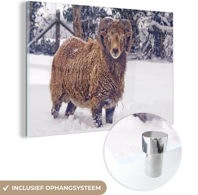 MuchoWow® Glasschilderij 30x20 cm - Schilderij acrylglas - Ram - Bruin - Sneeuw - Foto op glas - Schilderijen