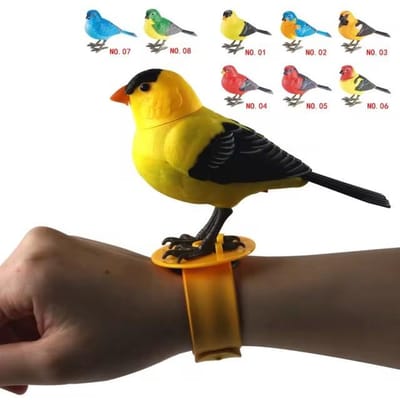 Jeunes Haute Qualité Électrique Haute Qualité Chantant Haute Qualité Oiseau Haute Qualité Jouet Haute Qualité Mignon Interactif Haute Qualité Oiseau