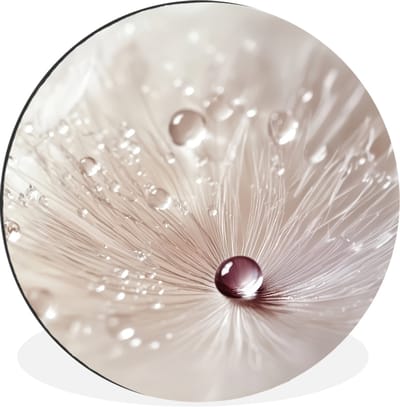 WallCircle - Wandcirkel - Muurcirkel - Bloem - Abstract - Wit - Water - Natuur - Aluminium - Dibond - 120x120 cm - Binnen en Buiten XXL
