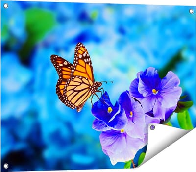 Gards Tuinposter Oranje Vlinder bij Paarse Bloemen - 80x60 cm - Tuindoek - Tuindecoratie - Wanddecoratie buiten - Tuinschilderij