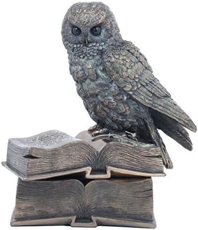 Uil Decoratie Kist - Geheime Bewaardoos - Sieraden Opbergen - Bronzen Look Afwerking - 18x17x10 cm - Meerkleurig