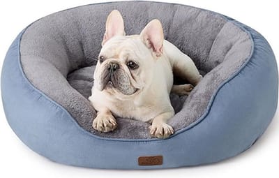 Wasbaar Kattenbed 76 x 61 x 20 cm - Met Dubbelzijdig Binnenkussen - Comfortabele Slaapplaats voor Katten of Kleine Honden - Blauw