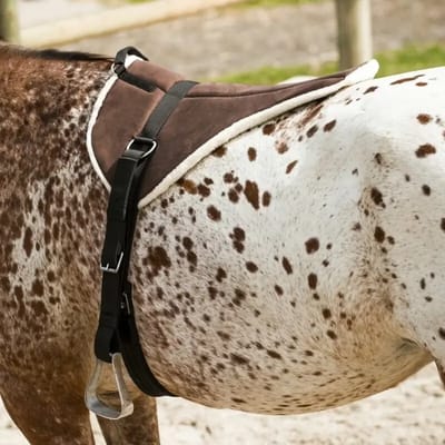 Zadeldek voor zacht rijdende paarden Norton