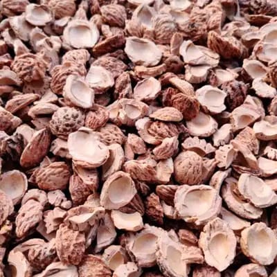 Halve perzikstenen 20 liter zak (ca. 1m2) | Tuindecoratie en bodembedekking | Alternatief voor Cacaodoppen