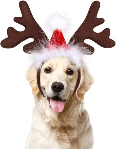 Hertengeweien Hoofdband voor Huisdieren - Kerst Kostuum voor Honden en Katten met Feestelijke Accessoires