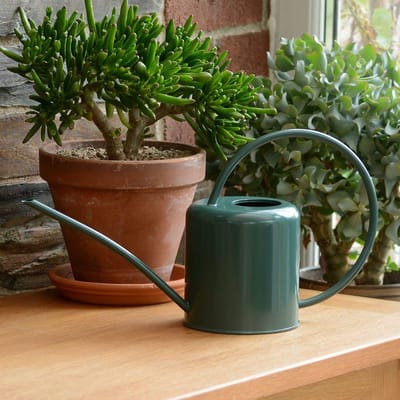Dailygoods- Binnengieter 1,4 Liter - Gieter van verzinkt staal - Gieter met smalle uitloop - Lichtgewicht - Duurzaam - Modern design