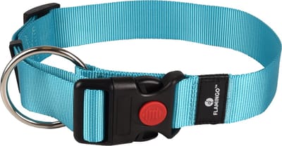 Flamingo Ziggi - Halsband Honden - Halsband Ziggi Turquoise Xl 55-75cm 40mm - 1st - 127576 - 1st