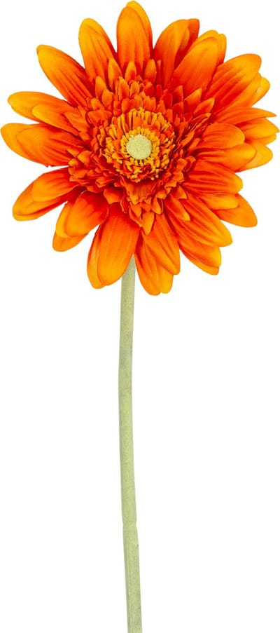 Easyplants | Kunstbloem Gerbera 53 cm oranje | Zijde | Nepbloemen | oranje | Onderhoudsvrij | Kant-en-klaar