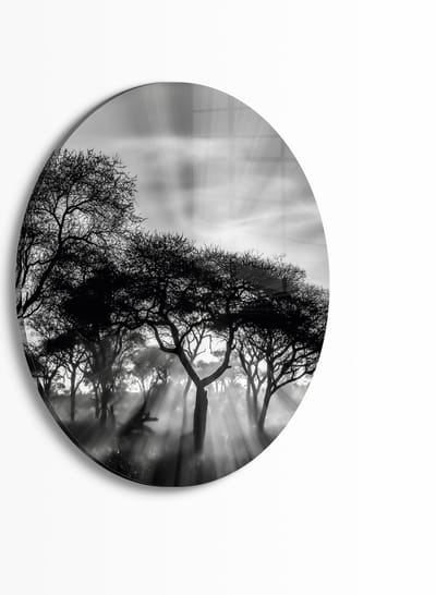 Indoorart - Muurcirkel Savanne zonsondergang Plexiglas 30 cm - Wanddecoratie - Afbeelding op Plexiglas - Inclusief ophangplaat