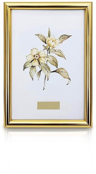 Dailygoods - Andiker 6 x 4 inch fotolijst, stabiele fotolijst van aluminiumlegering met passe-partout en heldere tafeldecoratie voor verjaardag, bruiloft en feest (goud)
