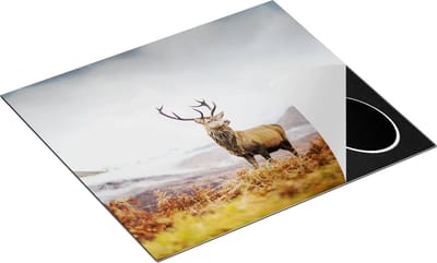 Chefcare Inductie Beschermer Hert in de Bergen met Mos - 60x50 cm - Afdekplaat Inductie - Kookplaat Beschermer - Inductie Mat
