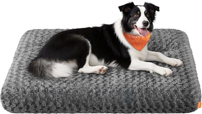 Feandrea - Hondenmand - Hondenbed met Zachte Vulling - Voor Grote Honden - Wasbaar en Antislip