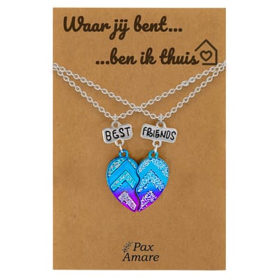 Koppel Ketting voor 2 'Waar jij bent, ben ik thuis' - Magnetisch Best Friends Hartje - Vriendschapsketting op Cadeau Kaartje - 45cm + 5cm verstelbaar - Zilverkleurig - Persoonlijke Hanger - Pax Amare
