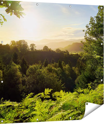 Gards Tuinposter Zonsondergang vanuit een Bos - 110x110 cm - Tuindoek - Tuindecoratie - Wanddecoratie buiten - Tuinschilderij