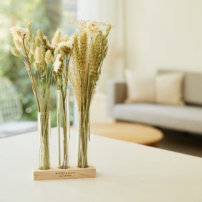 Droogbloemen 35 cm - Scandinavische uitstraling - inclusief reageerbuis vazen