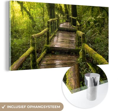 MuchoWow® Glasschilderij 40x20 cm - Schilderij acrylglas - Mooi regenwoud en jungle - Foto op glas - Schilderijen