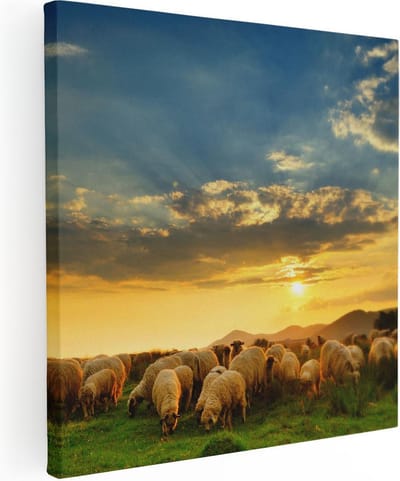 Artaza Canvas Schilderij Kudde Schapen - 30x30 cm - Klein - Wanddecoratie Dieren - Muurdecoratie Weiland - Schilderijen Op Canvas