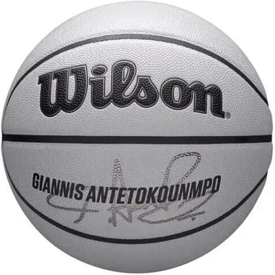 Basketbal Wilson NBA Player Icon UV Giannis