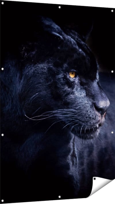 Gards Tuinposter Zwarte Panter - 100x150 cm - Tuindoek - Tuindecoratie - Wanddecoratie buiten - Tuinschilderij
